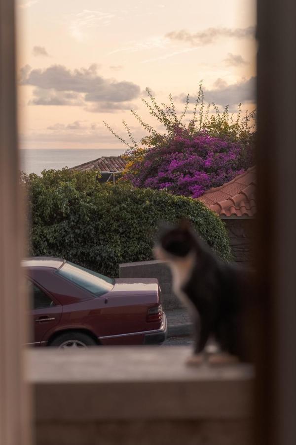 Willa Casa Da Pitanga Jardim do Mar Zewnętrze zdjęcie
